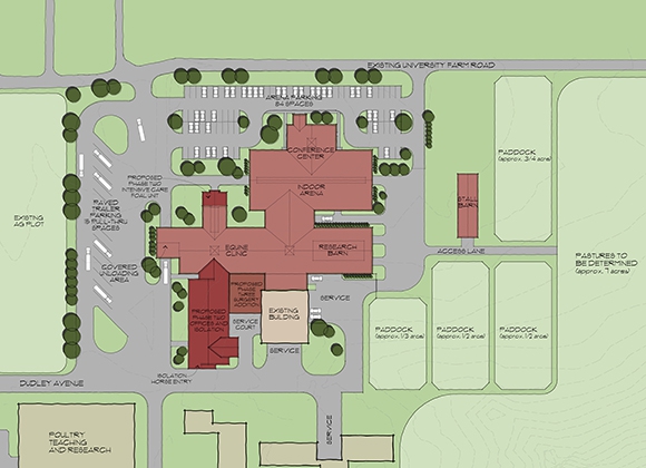 10-Site-Plan-Colored_Squiggled_crop